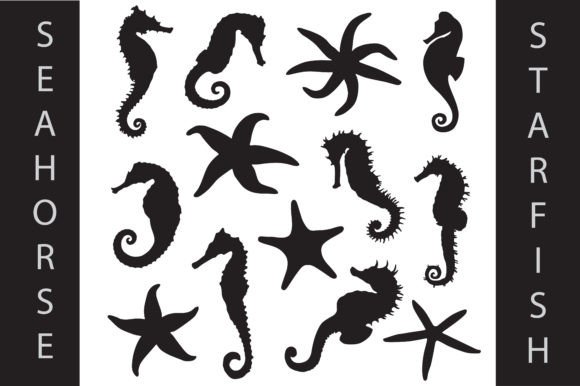 Download Seahorses &amp; Starfish Silhouette - Starfish Collection
