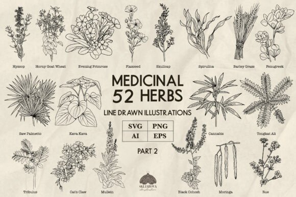 Download Medicinal Herbs Part 2 Line Art Svg Png - Herbs Collection