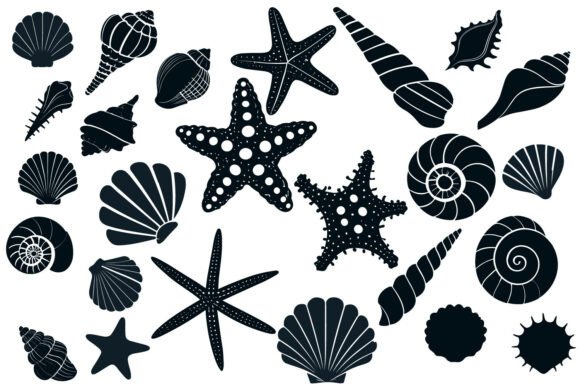 Download Sea Shell Starfish Beach SVG Silhouette - Starfish Collection