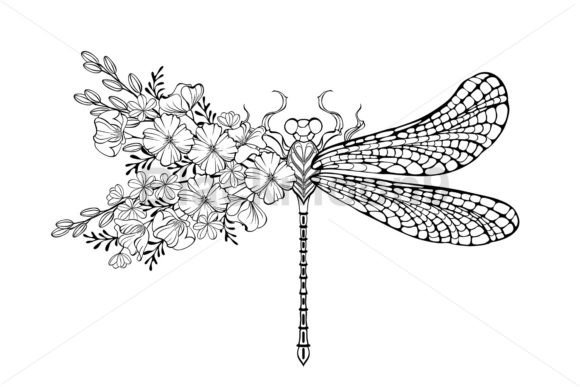 Download Dragonfly with Contour California Poppy - Contour Collection