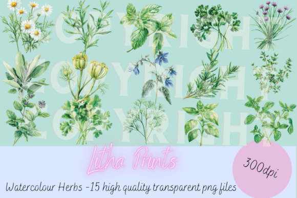 Download Watercolour Herbs - Premium Resources
