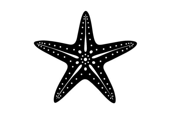 Download About Only One Star Fish - Premium Resources