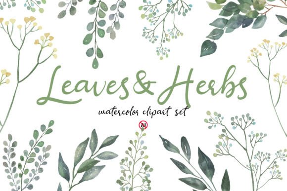 Download Watercolor Leaves &amp; Herbs Clipart Set - Herbs Collection
